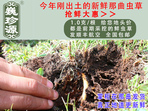 rx(chng)Ĳ շb 1/r(ji)100Ԫ/