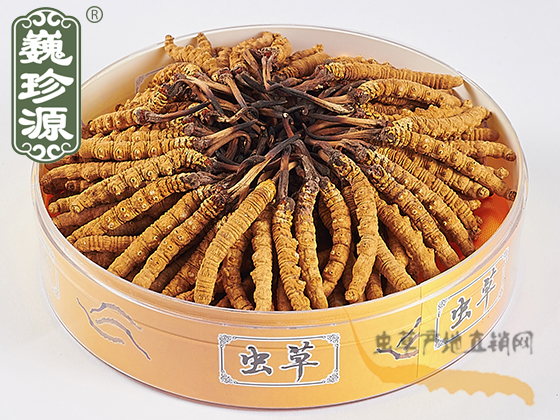xĲ^ڲ,x^xĲ^x^ڲΡԴx^3l/
