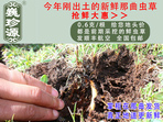 rx(chng)Ĳ շb 0.6/r(ji)60Ԫ/