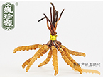 x(chng)Ĳ2.5l/ ڲ x؛r(ji)252Ԫ/