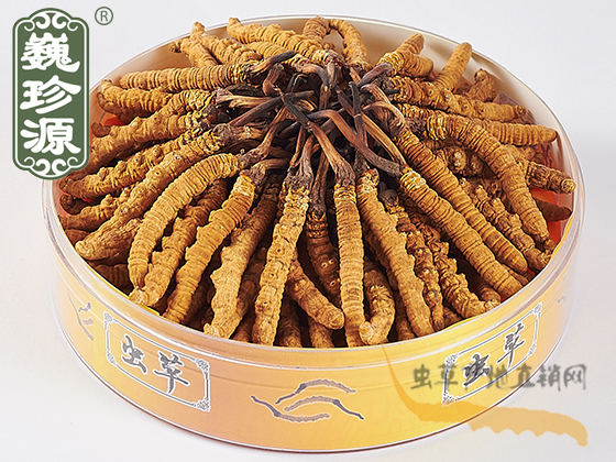 ^ڶxĲݣ2/^xxĲ